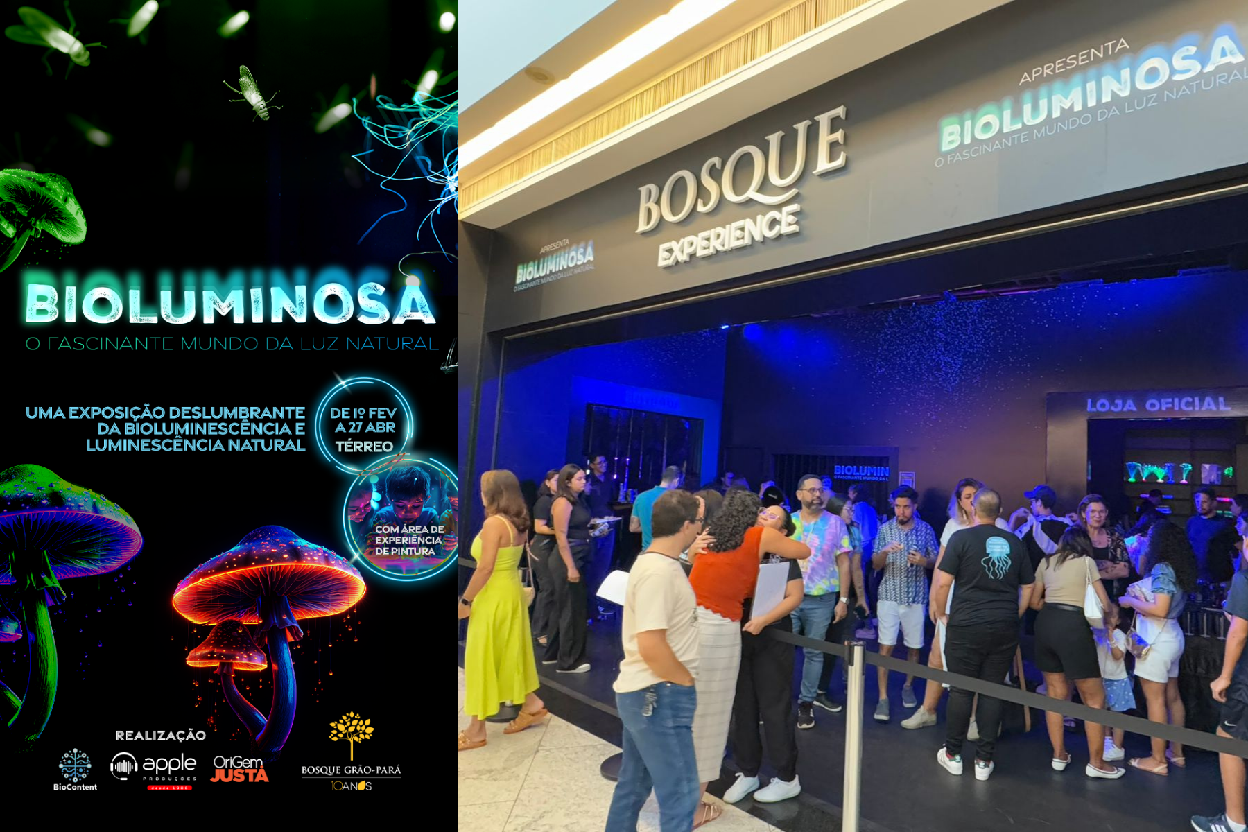 Luz, Ciência e Sustentabilidade: O case que iluminou o posicionamento do Bosque Grão-Pará.