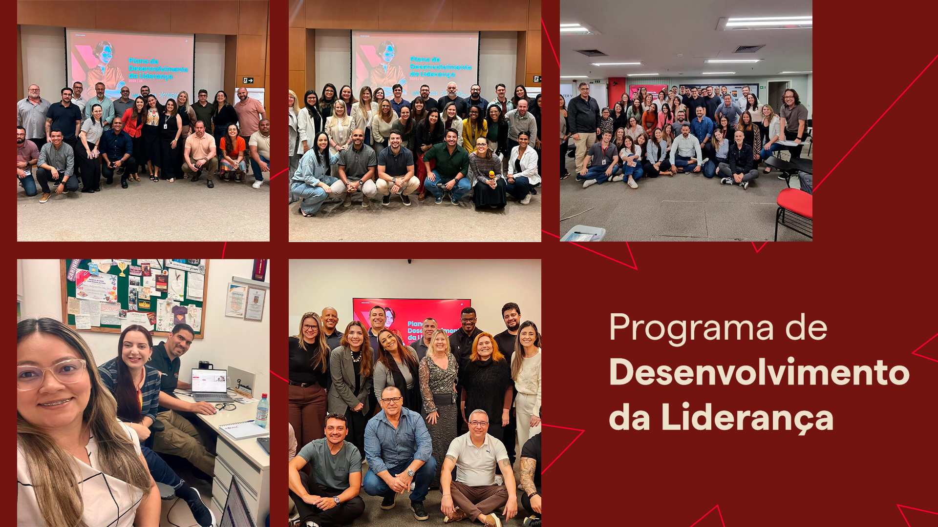 Programa de Desenvolvimento da Liderança Ancar