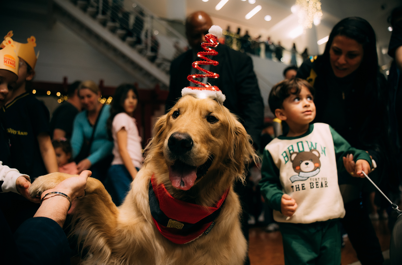 PALLADIUM APRESENTA: JARDIM MÁGICO DO NOEL – ONDE O NATAL ENCONTRA A SOLIDARIEDADE.