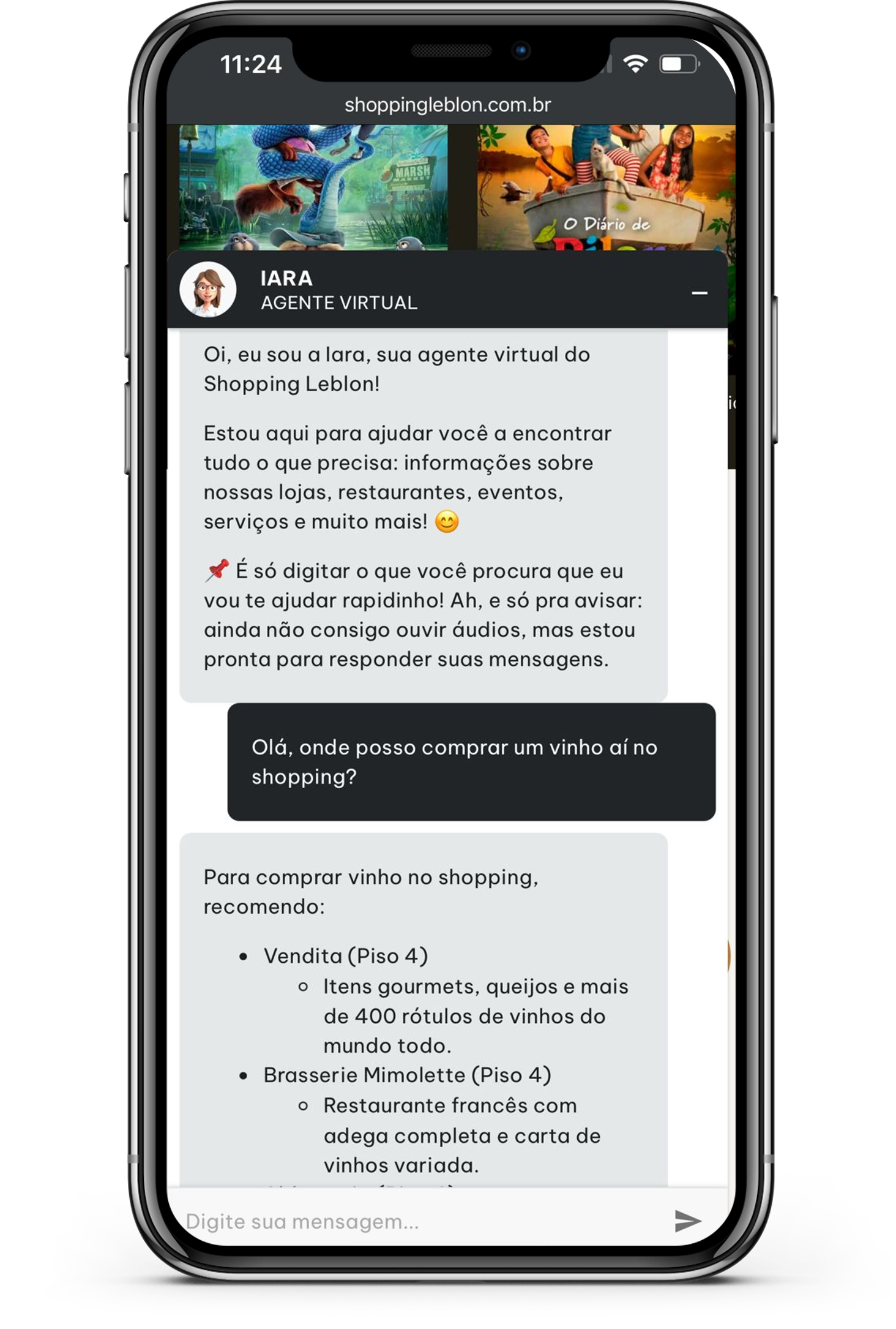 Iara – Especialista de atendimento