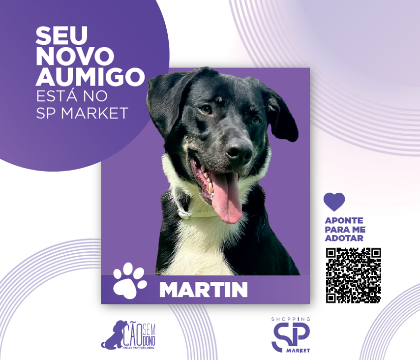 SEU PET ESTÁ AQUI: TRANSFORMANDO FLUXO EM IMPACTO SOCIAL, EMPATIA E ADOÇÃO