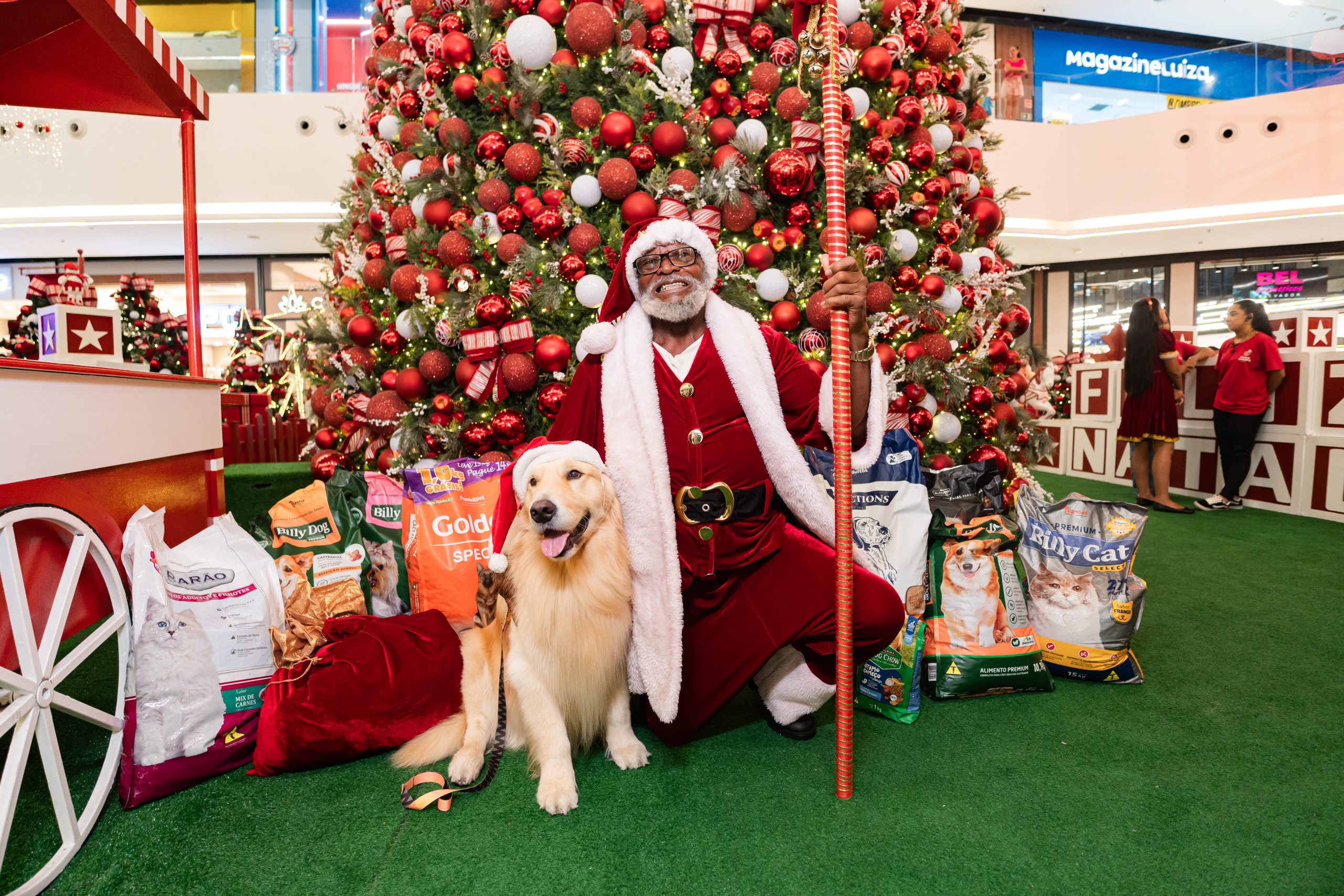 Fantástico Natal no Parque: O Cão Noel e uma experiência pet friendly com propósito social