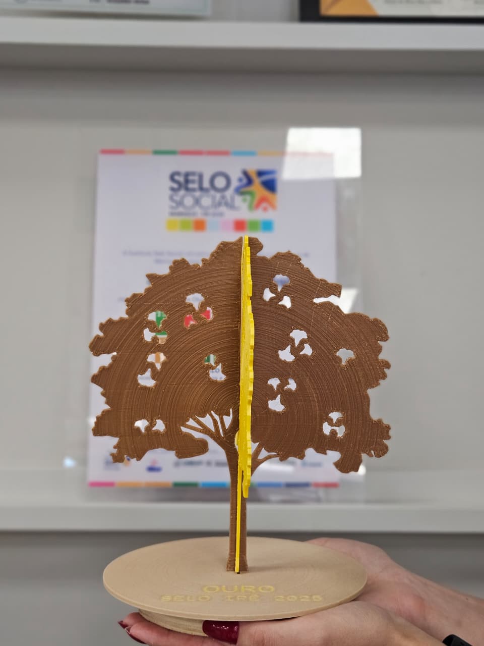 Da Certificação à Transformação Real: o reconhecimento ESG do Catuaí Maringá que a cidade