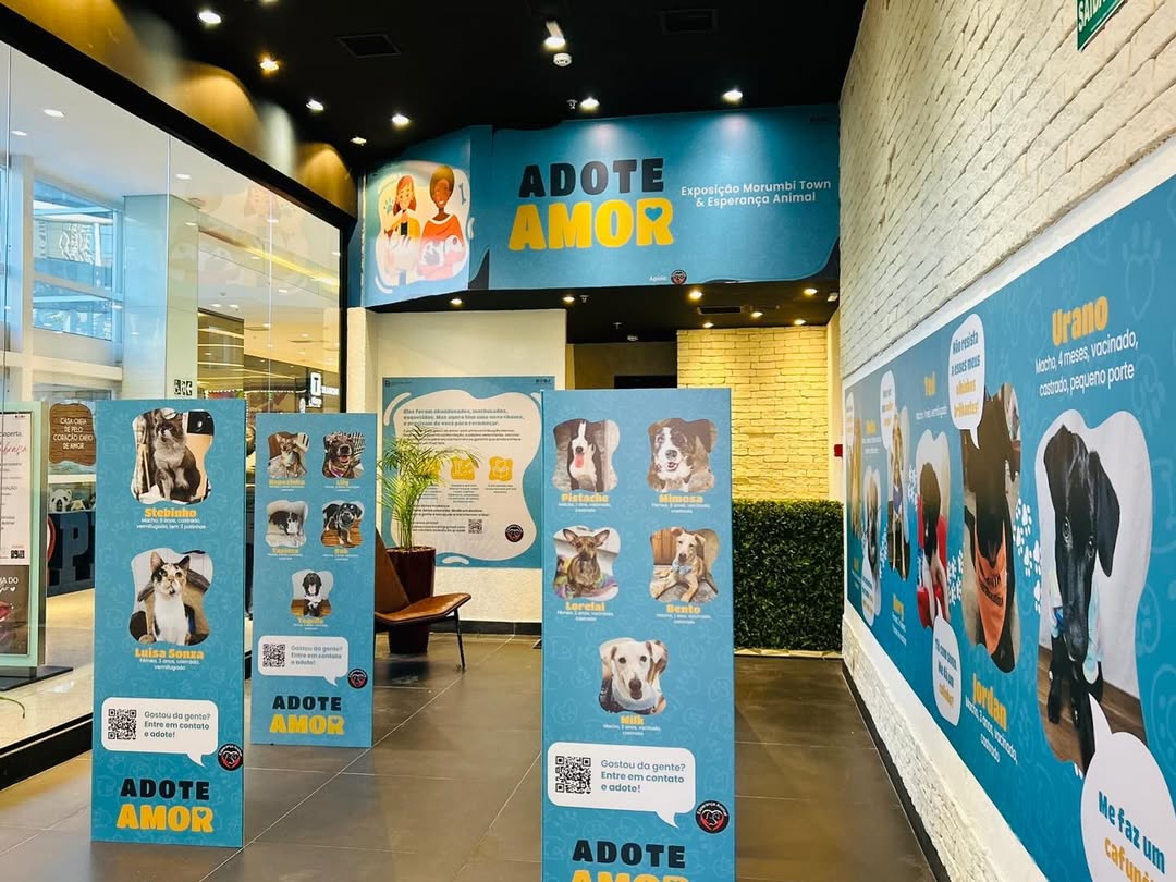 ADOTE AMOR: QUANDO UM SHOPPING SE TORNA PONTE PARA NOVOS LARES
