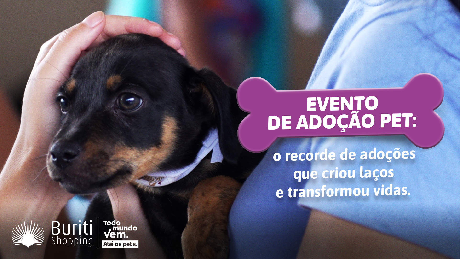Terral – Buriti Shopping – Feira Pet: De espaço de consumo a ponto de transformação